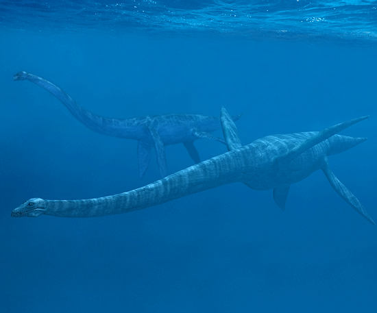 这个时候爬行动物的颈椎数目是不定的,可以象蜥蜴般只有八块,也可以如